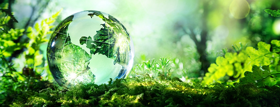 ECO Vision
