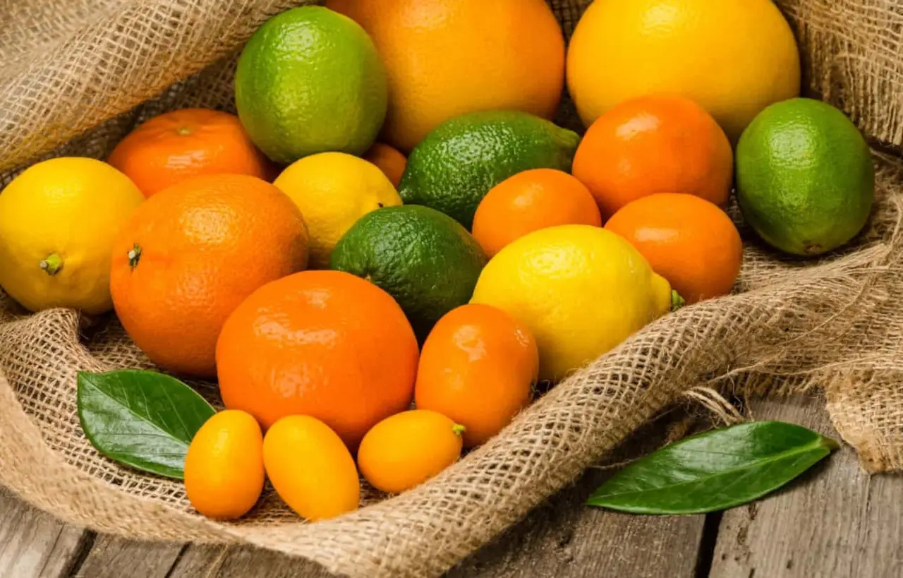 Non solo agrumi: ecco le sorprendenti delizie invernali che puoi raccogliere a dicembre