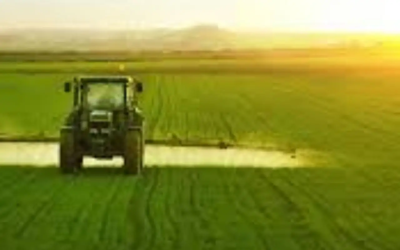 Quali sono le tecniche utilizzate in agricoltura biologica? Ecco cosa dice l’esperto