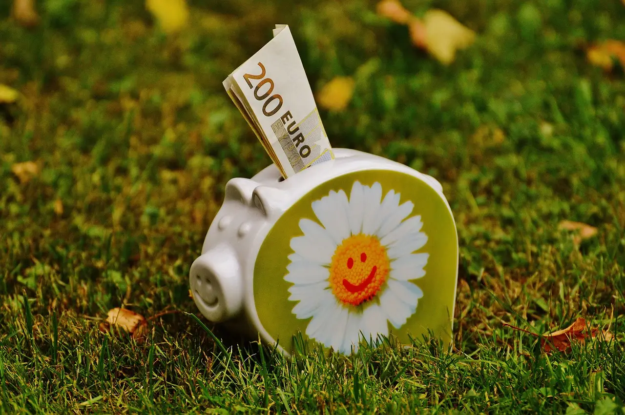 Il metodo definitivo per vivere felicemente con pochi soldi e godersi di più la vita